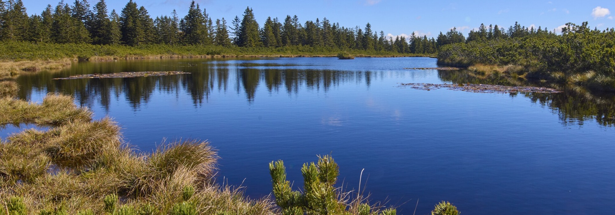 Ribniško jezero