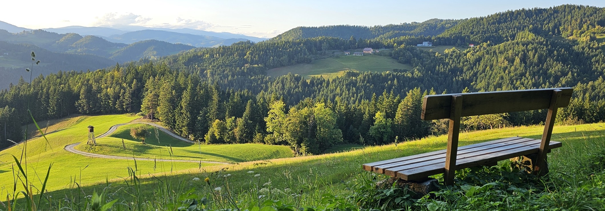 Ribniško srce, Zgornja Orlica